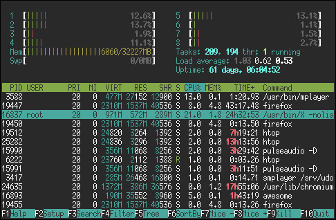 htop screenshot